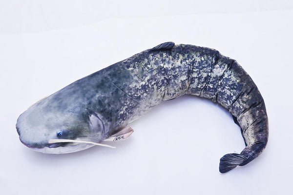 Gaby Fish Giant Catfish Pillow